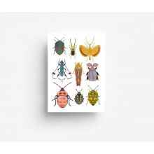 jungwiealt Postkarte Käfer