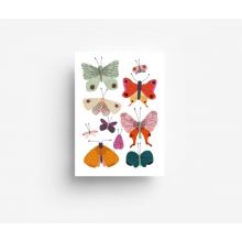 jungwiealt Postkarte Schmetterlinge